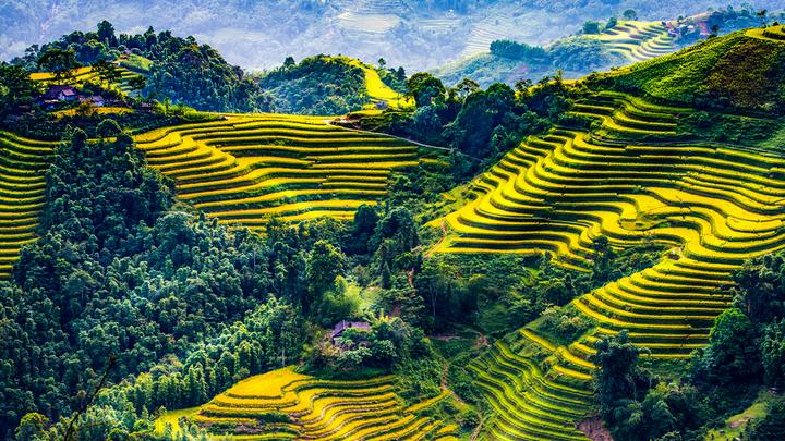 Video ngắn: Cánh đồng lời kể, nông sản sạch