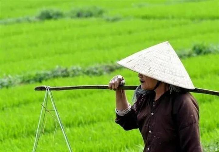 Xu hướng Ai bảo mặc váy đen mùa hè là: Hotspot Matrix tiết lộ bí quyết video viral