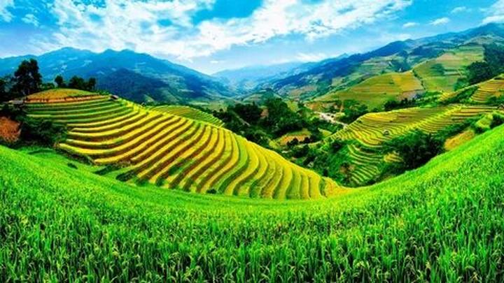 Hotspot Matrix: Hành trình chinh phục video ngắn